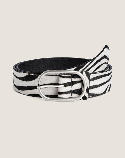 FRONT SHOT OF THE EVERYDAY SIGNATURE BELT IN ZEBRA FEATURING THE ZEBRA HAIRCALF AND SILVER HARDWARE
